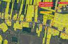 Teren Gorneni/Iepuresti/Giurgiu 3700 intravilan+3400 extravilan- 5E/m2 - 5