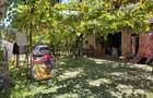 Casa 3 camere + Sura si anexe - 11