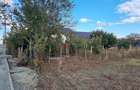 TEREN INTRAVILAN 706 MP – CUMPĂNA /ACCES DIRECT LA STRADA ASFALTATA