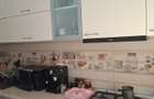 Teiul Doamnei Colentina, dec., 1985, mobilat/utilat, renovat, instalatii noi, AC - 9