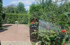Casa/Vila de vanzare Str Morii/Suceava - 19