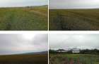 Teren extravilan 635 mp Harsesti, ID: R2922302 - 4