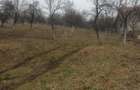 Teren de 2600 mp, în Fedeleșoiu - 3
