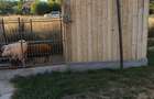 Casă individuală cu 3 camere cu Teren 500 Mp în Aeroport - 1