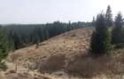 Teren 9.000 mp in Balce?ti, Beli?- aproape de lac, ideal pentru cabane - 2