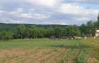 Teren intravilan 4.000 mp de vanzare Oarda de Sus, Alba Iulia, utilitati la strada