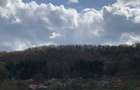 Vand teren retras, deosebit - 5