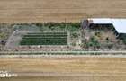 TEREN 10.000 MP VLADIMIRESCU / ACCES FOARTE BUN - 6