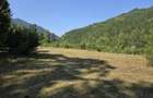 Vand teren intravilan 5.000 mp Sat Brate?, Com. Tarcau, Jud. Neam? - 8