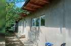 Casa Plan Parter In Branistea - 5