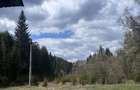 Teren in Dorna Arini, aproape de Vatra Dornei si Rarau. - 4
