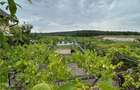 Antony Estate | LAKESIDE HOME - Lac Paleu - 3