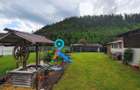 Casa de vacanta | Investitie | zona montana - padure | Arges | Leresti