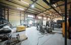 Hală în parc industrial Borș 1, teren 2.903 mp, de vânzare