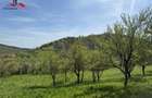 Teren intravilan 8330 mp de vanzare in Inuri Jud Alba