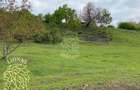 Teren 5000 mp-ideal investitie-Ghinda - 4