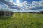 Teren | Rancaciov | 2000 Mp | 700 Intravilan | - 3