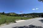 De vanzare | Teren intravilan 7620mp | Vitoria Lipan | Borca| Neamt - 4