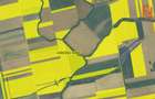 Teren agricol extravilan de vanzare, 2,69 hectare - Jebel Timis