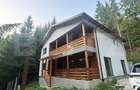 Cabana/Pensiune de vanzare in Colibita, cu acces la lac - 9
