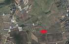 Teren Albota zona Statiune Papillon 10.000 mp intabulat asfalt - 8