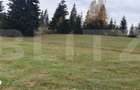 Teren intravilan, 4000 mp, zona Panaci - Vatra Dornei
