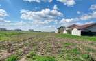 Teren 500 m2 dubla deschidere, construc?ie imediata, Berceni IF - 4