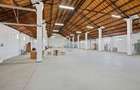 Hale industriale de închiriat în Tg Neamț - 16