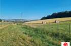 De vanzare teren intravilan 3.1 Ha, Sancraul De Mures, Mures - 3