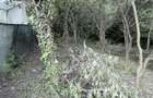 Teren Intravilan 1.151 Mp Strada Krusevac, Nord-Ramnicu Valcea - 3