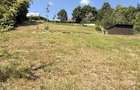 Valea Rosie, teren intravilan 3434mp, langa padure. - 1