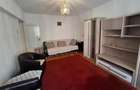 Apartament 2 camere decomandat balcon zona B-dul Mihai Viteazu - 15