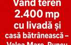 Vand teren 2.400 mp cu livada si casa batraneasca Valea Mare, Runcu, Gorj - 2