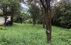 Teren intravilan de vanzare - 4