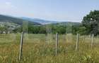 Teren extravilan de 1000 mp, situat pe strada Ghinzii