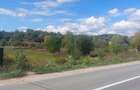 Vand 4352 mp teren in Bascov cu deschidere 22m la DN7C - 3