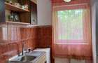 Casa cu 3 apartamente în Dumbravita aproape de pădure