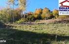 3600 mp teren intravilan, sat Bistrita, 14 Euro/mp