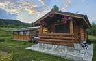 Cabana de Vis Valcanesti Prahova ! - 2