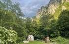 Proprietate pe malul Cernei, in cel mai spectaculos parc national - 9