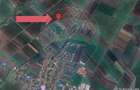 Teren 30.000 MP | Hălchiu |  Jud. Brasov - 6