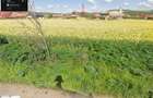 Vand teren intravilan Sat Chirileu - 1