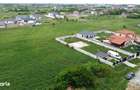Loc de casa - 799 m2 pe strada Caprioarei | Satu Mare - 1
