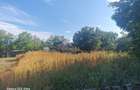 Spațiu comercial, în Mihail Kogălniceanu - 3