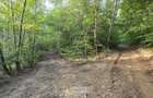 De vânzare teren extravilan  8,2037 ha pădure și pășune Borod, Bihor - 5