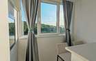 Garsoniera de inchiriat, str. Parang nr. 39, Manastur, pret 300 - 6