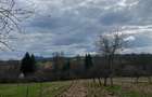 Vand casa ?i terenul aferent de 2 hectare intravilan - 9