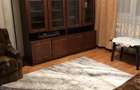 Ofer spre inchiriere apartament calduros cu 2 camere in zona piata dacia - 5