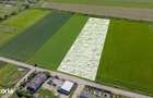 Teren 9.300 mp Stupini | Front 45.59 m la Asfalt | PUG Zona L1c - 7