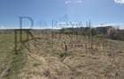 Teren situat in Sopor 5800 mp | Intravilan | Iulius Mall - 6